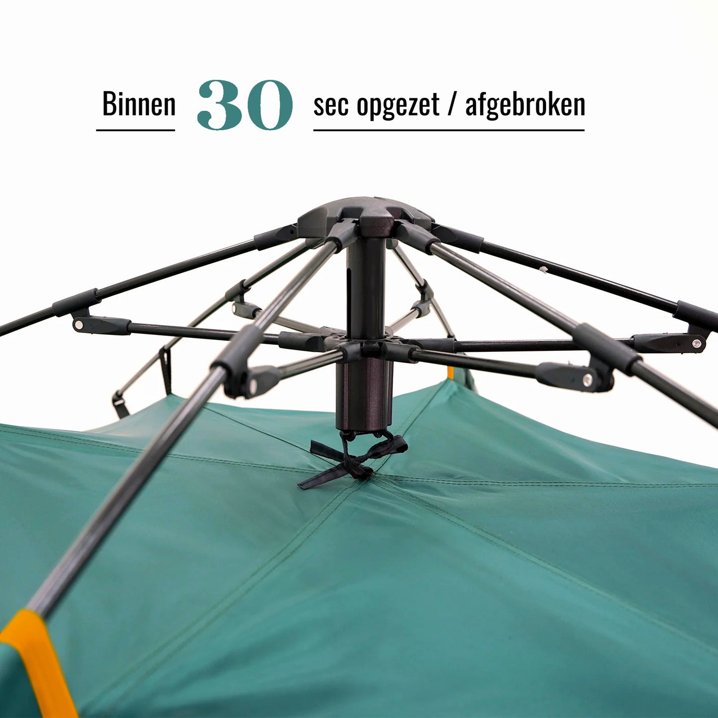 Lyve Pop-Up Pro XL